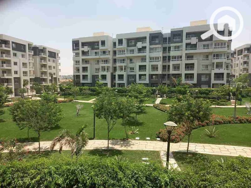 3 FB_IMG_1727952577917. jpg