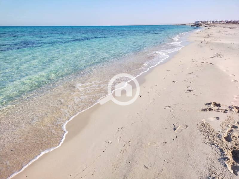 6 WhatsApp Image 2025-12-09 at 3.00. 58 PM. jpeg