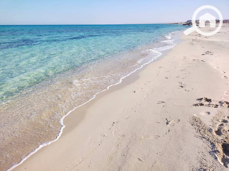 11 WhatsApp Image 2025-12-09 at 3.01. 03 PM. jpeg