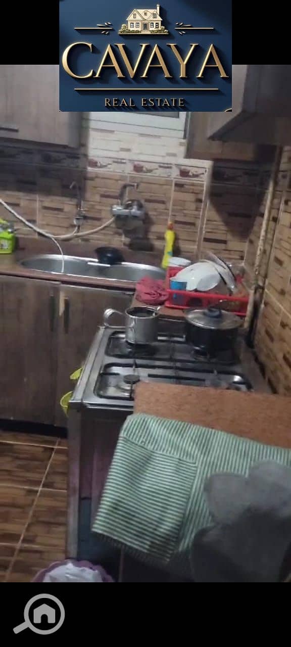 11 Untitled design (10). png