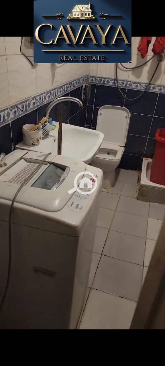 12 Untitled design (11). png