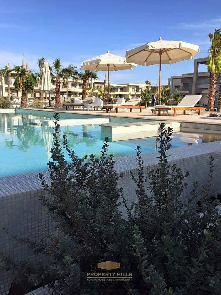 5 92676273_205559800742306_2520881082442711040_n. jpg