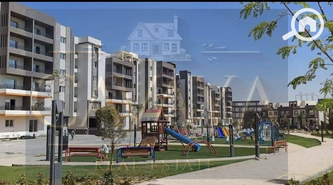 3 Untitled design (3). png