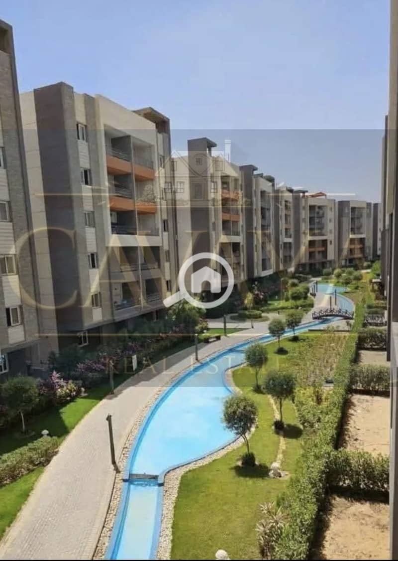 5 Untitled design (5). png