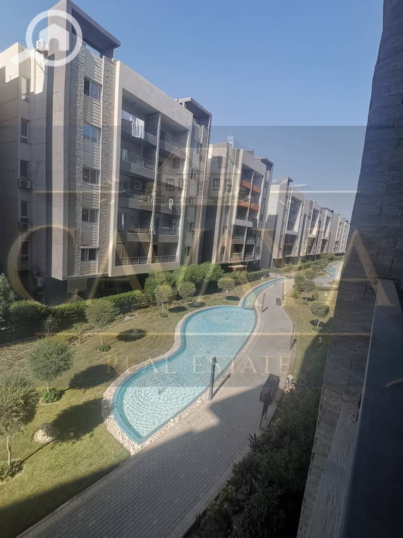 12 Untitled design (12). png