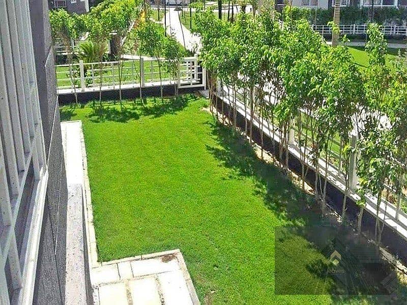 5 452959078_1173311893902792_1177527995366203938_n. jpg