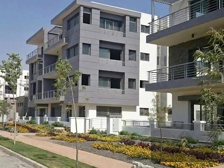 11 461280451_8142720069159324_1196287727204027922_n. jpg