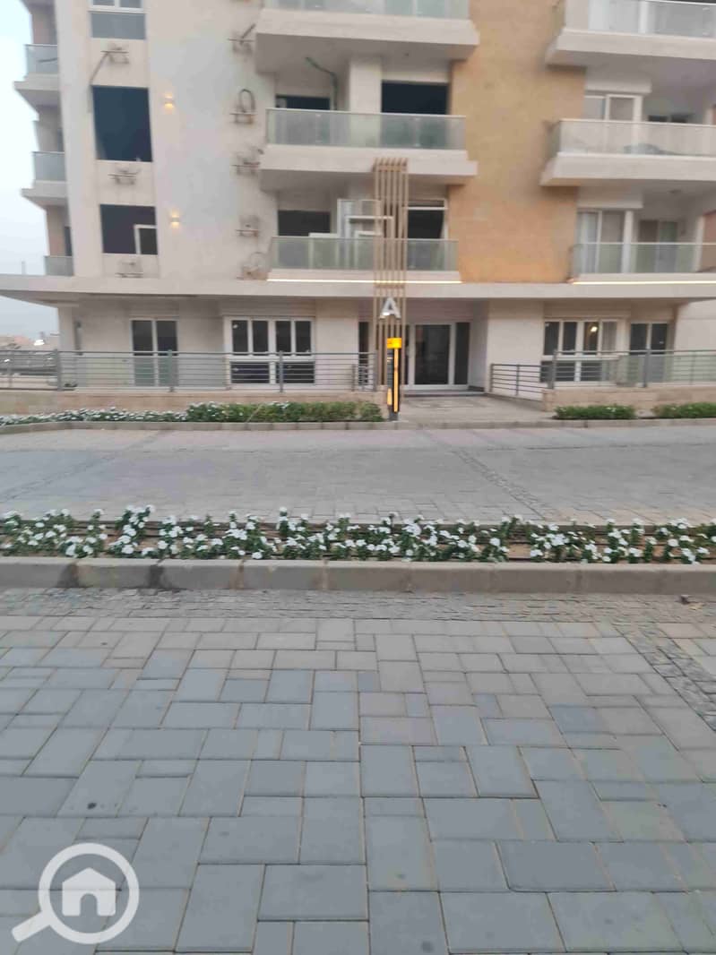 2 20241013_181911. jpg