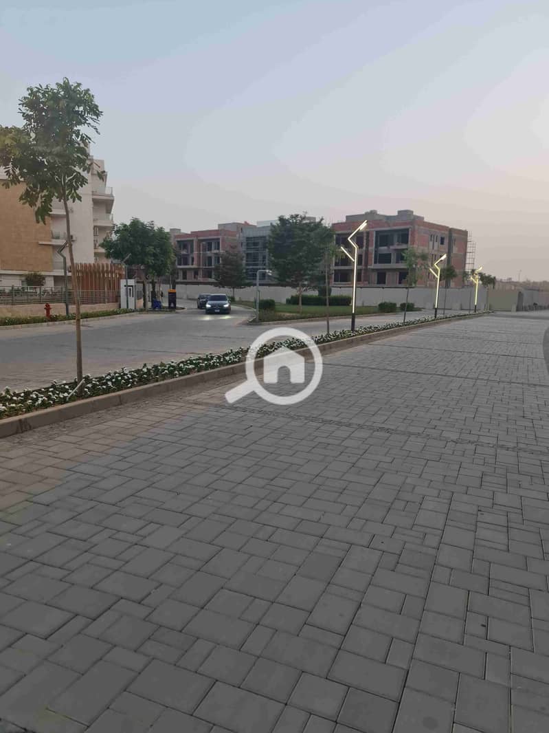 4 20241013_181909. jpg