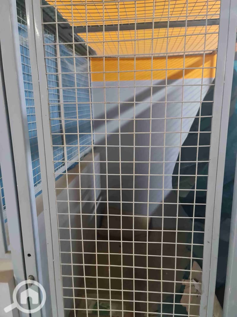 5 20241013_180541. jpg