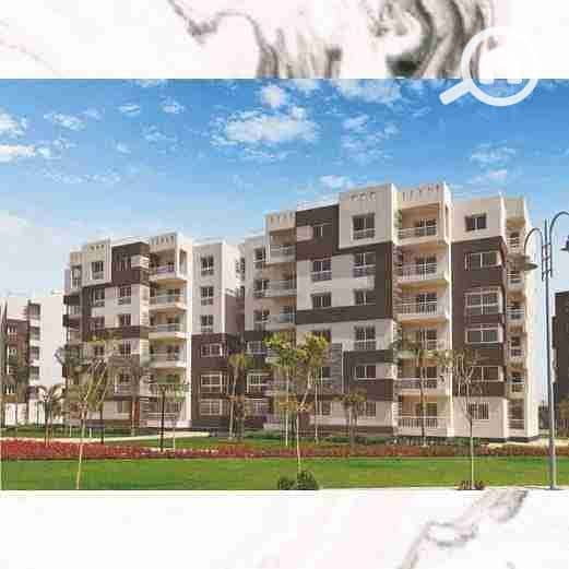 2 FB_IMG_1730994574796. jpg