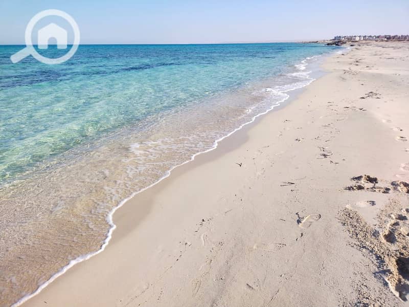 12 WhatsApp Image 2025-12-09 at 3.01. 03 PM. jpeg