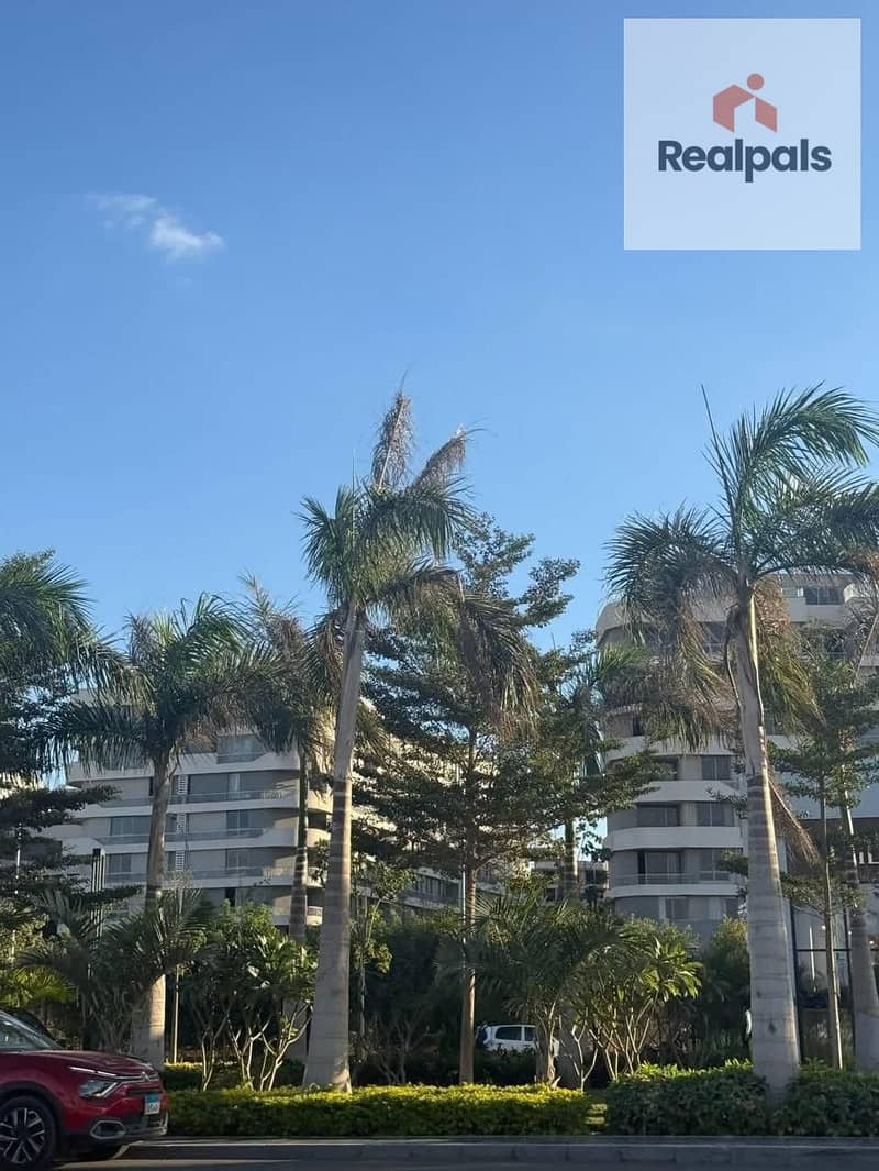 4 4a3fb323-506e-4abc-af19-2fd06ea8ea2a. jpg