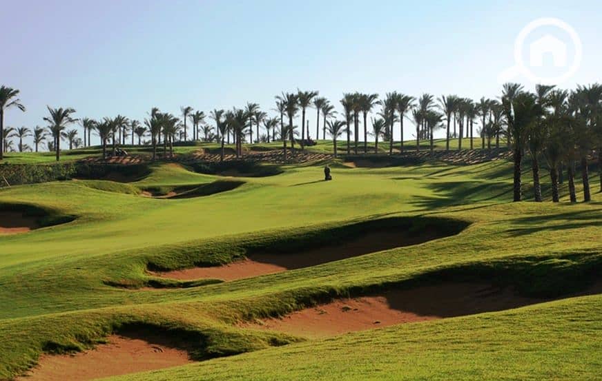 6 WhatsApp Image 2025-12-10 at 2.22. 04 PM (2). jpeg