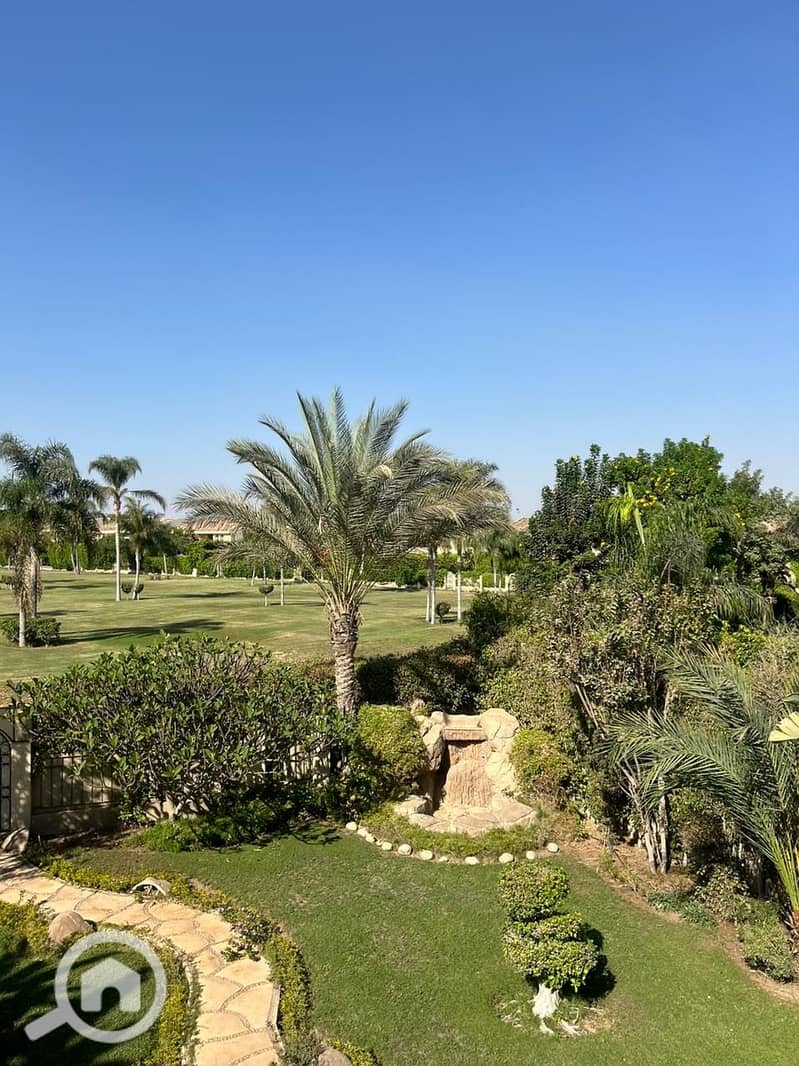 16 ee072604-df98-4cf2-afaf-e49d8052e87b. jpeg