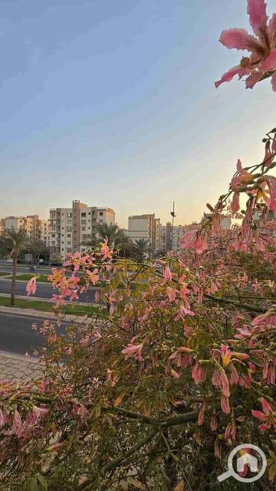 شقة 2 غرفة نوم للايجار في مدينتي، القاهرة - 1000560029. jpg