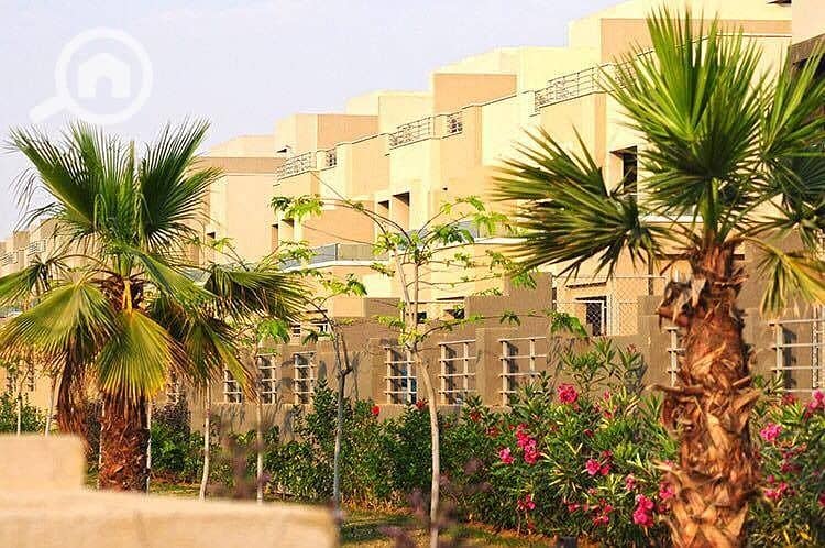 11 WhatsApp Image 2025-09-21 at 15.17. 13_3821ab2d. jpg