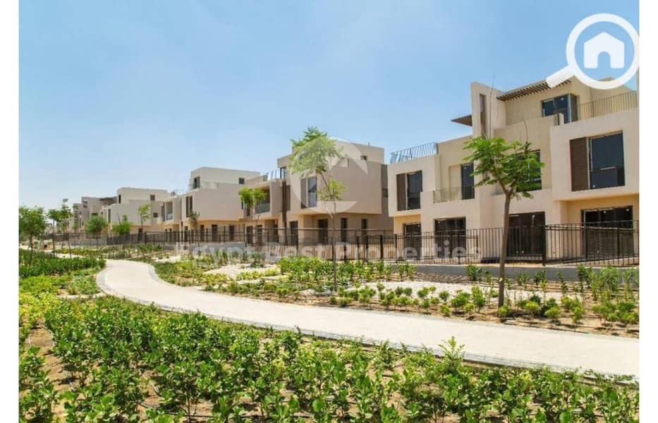 6 8077344-bcf9do. jpg