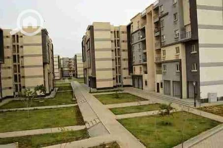 فلیٹ 3 غرف نوم للبيع في القاهرة الجديدة، القاهرة - 1000202196. jpg فلیٹ 3 غرف نوم للبيع في القاهرة الجديدة، القاهرة - 1000202196. jpg