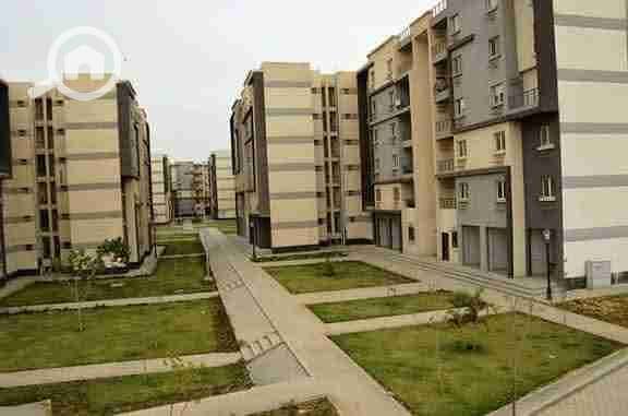 1000202196. jpg 1000202196. jpg