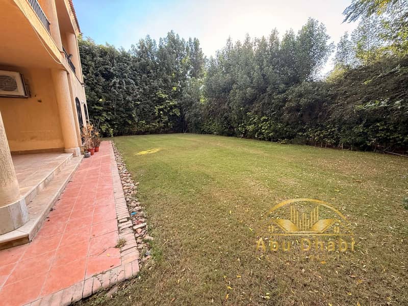 6 c8f6ea8c-e9c2-43cc-8211-ff2e00e94bd5. jpg