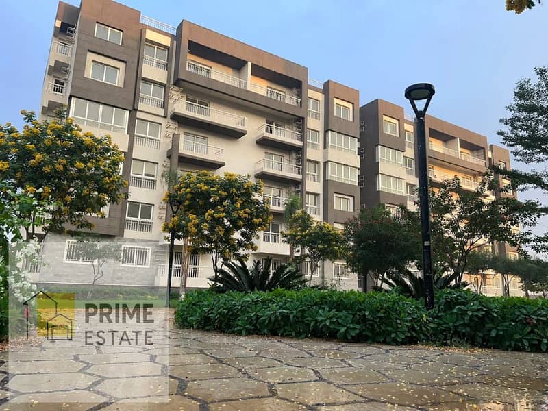 6 WhatsApp Image 2025-06-19 at 01.44. 28_ed55204c. jpg