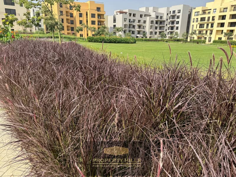 16 WhatsApp Image 2025-02-06 at 9.16. 46 PM (1). jpeg