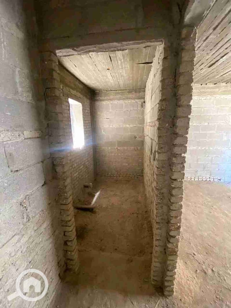 3 1765051882920. jpg