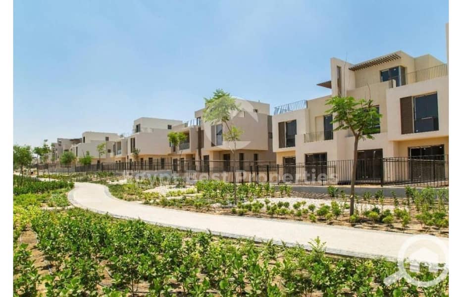 6 8077344-bcf9do. jpg