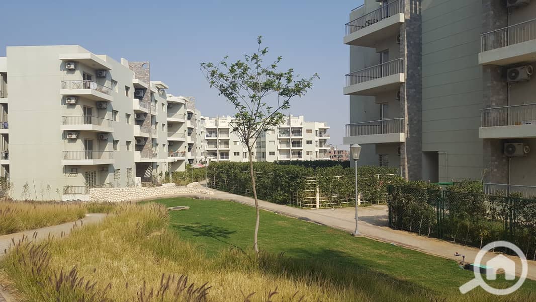 9 20170326_150842. jpg