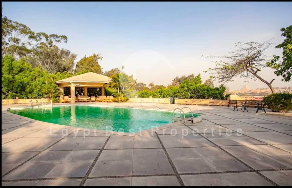 77cf2616-02a4-4195-bab2-123582ae6cf2. jpeg 77cf2616-02a4-4195-bab2-123582ae6cf2. jpeg