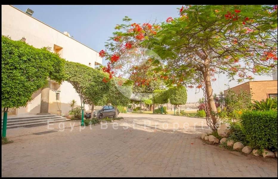 4 2f4d7f4c-225c-4953-bdfd-8da790531d10. jpeg