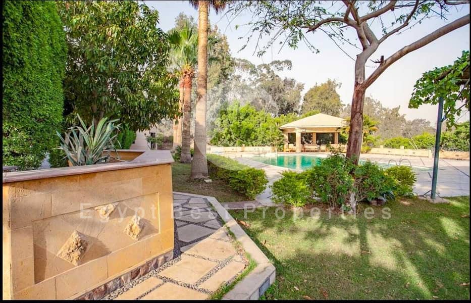 10 75c83dcc-b7e7-40c4-a441-fd03d831b3ad. jpeg