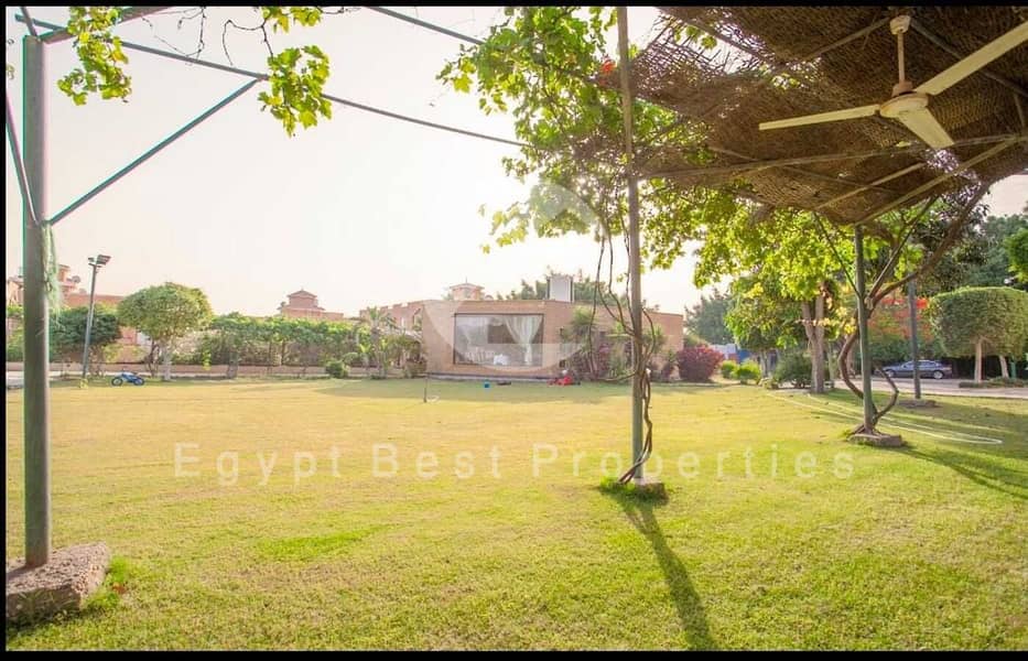 11 d997df64-f155-496f-a62d-021e0dc3ff32. jpeg