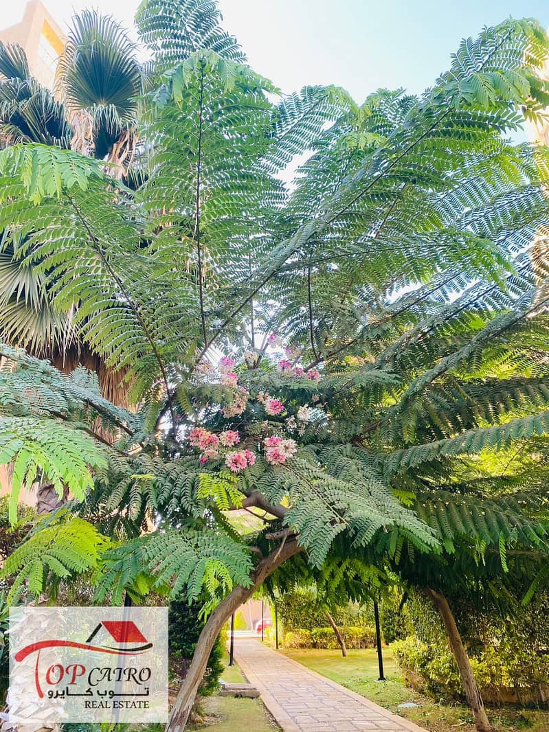 13 IMG-20251106-WA0241. jpg