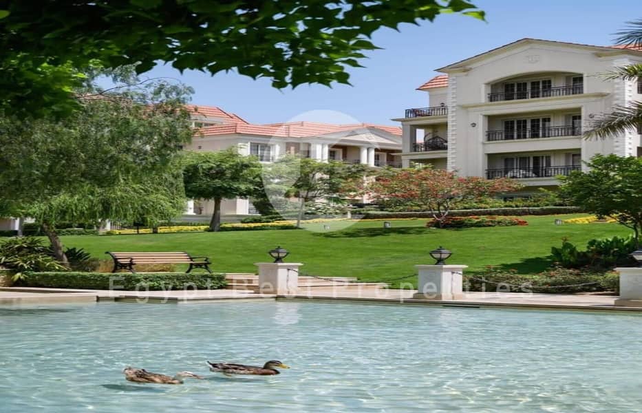 4 WhatsApp Image 2025-12-03 at 18.34. 20_df931ca3. jpg