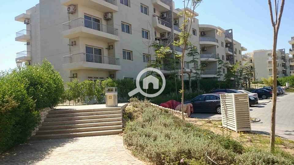 11 DSC_0016_resized_20170424_012950463 - Copy. JPG