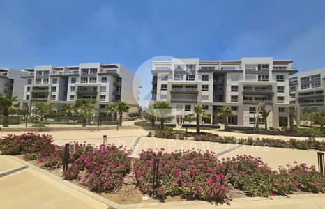 شقة 1 غرفة نوم للبيع في القاهرة الجديدة، القاهرة - Screenshot 2025-12-08 150640. png شقة 1 غرفة نوم للبيع في القاهرة الجديدة، القاهرة - Screenshot 2025-12-08 150640. png