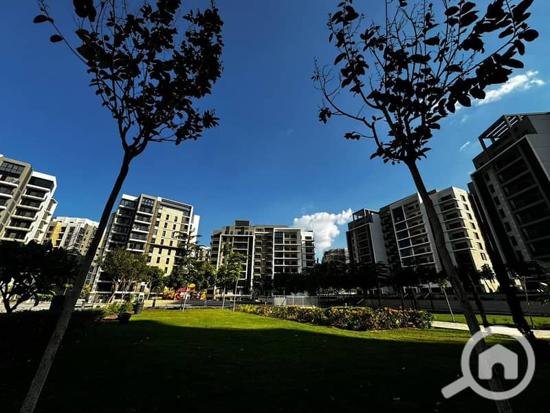 3 WhatsApp Image 2024-12-11 at 15.07. 36_fbcdd3e8. jpg