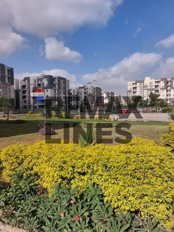 2 WhatsApp Image 2025-12-10 at 15.23. 54. jpeg