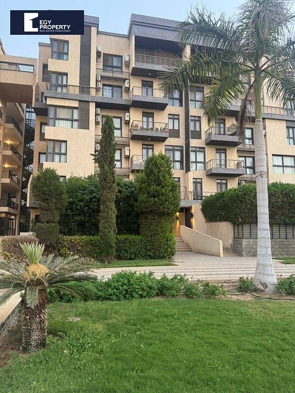 10 _files_WhatsApp Image 2025-08-15 at 16.12. 20_7f84b989. jpg