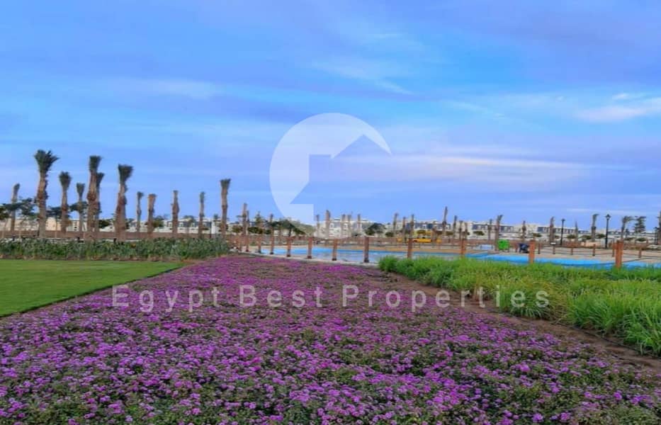 2 Screenshot 2025-12-08 125832. png