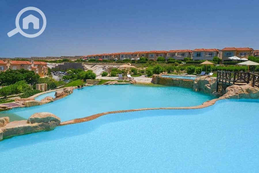 6 37ca20d4-dabf-4eb1-8180-8edd13bd3fd7. jpeg