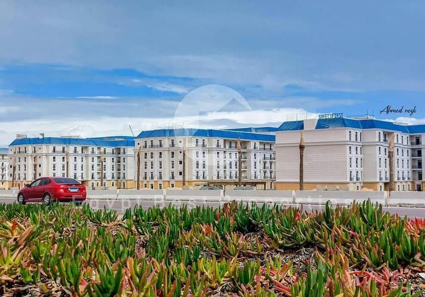 5 WhatsApp Image 2024-05-26 at 11.49. 58_d627ceac. jpg