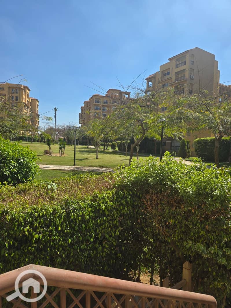 16 cafb483b-be77-4610-be4d-f0e5770047dc. jpg