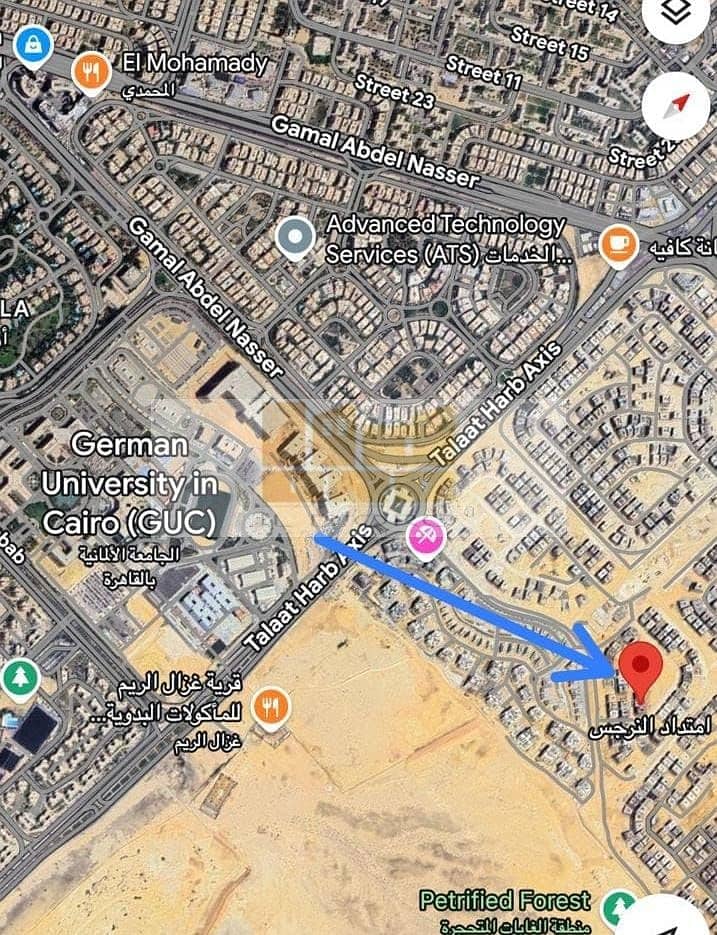 3 b1a43336-ebb5-4572-886e-9b1716e21f3a. jpeg