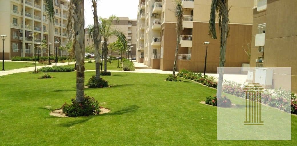 5 106808770_3146727362016843_8599284372765273297_n. jpg