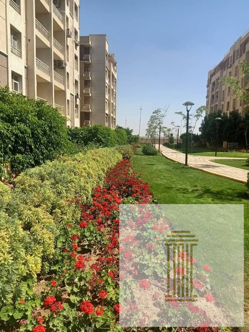 6 106030843_3146727165350196_3074603366132714035_n. jpg