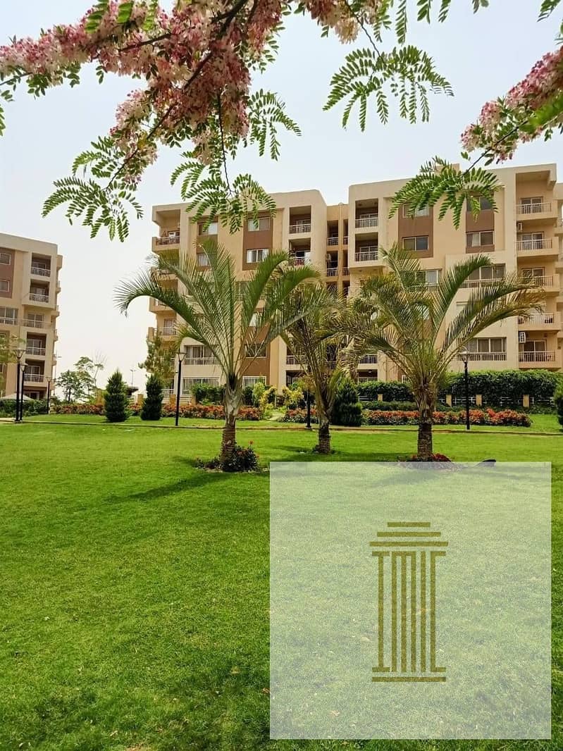 7 106533766_3146725815350331_5328733090851441256_n. jpg