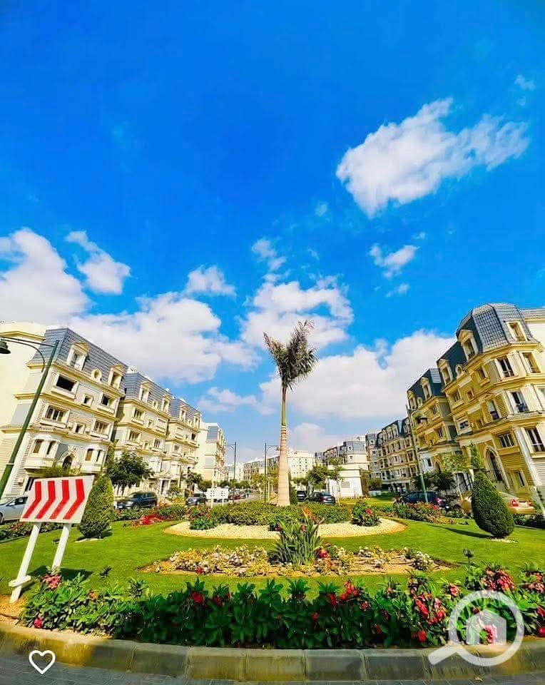 4 WhatsApp Image 2025-12-10 at 4.19. 51 PM. jpeg